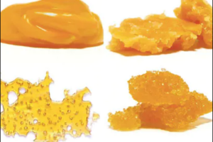 BOLD Full Plant Extract