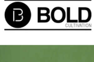 BOLD Dark Chocolate 10 Pack