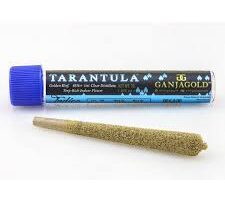 Blue Tarantula Sativa 1 gram Infused Preroll