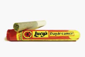 Daydreamer Pre-Roll Single