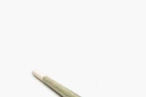 Ingrid 1 gram Preroll