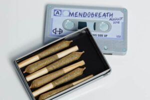 Mendo Breath 6 prerolls in a Cypress Hill Collectible Cassette Tape Stash Box
