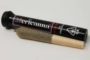 One Penny Mericanna Promo Preroll