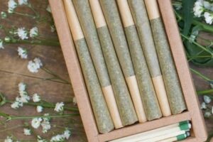 The Solice Indica Preroll 7 Pack