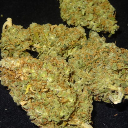 Buy Super Lemon Haze