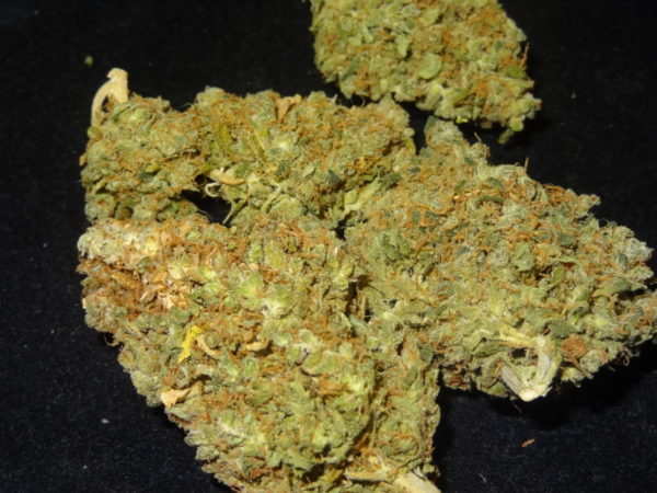 Buy Super Lemon Haze