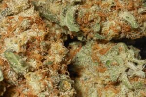 Buy Pineapple Express