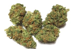 Afghan Kush (Indica)