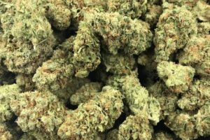 Lemon Kush (Hybrid) Wholesale