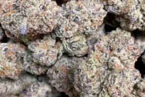 Jack Frost Cannabis Strain Wholesale