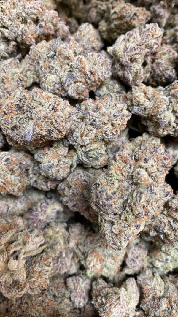 Jack Frost Cannabis Strain Wholesale