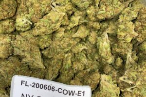 Sour Diesel OG (Sativa)