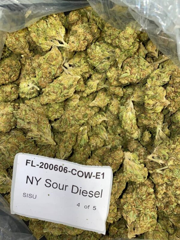 Sour Diesel OG (Sativa)