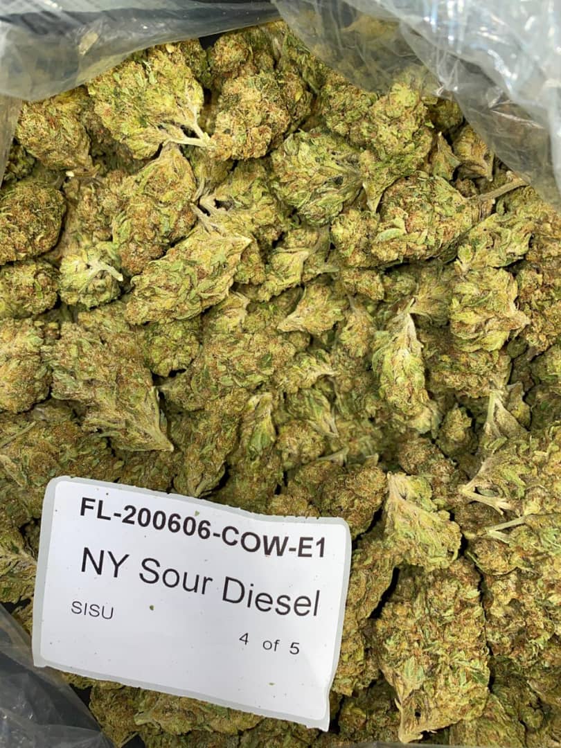 Buy Sour Diesel Online