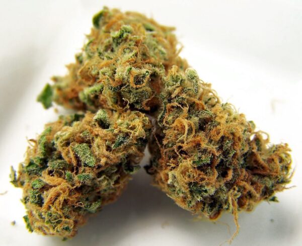 Buy Pineapple Express (Sativa)