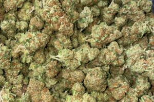 Buy  Bty "Better Than Yours" OG