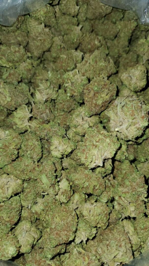 Buy Blueberry Kush (INDICA)