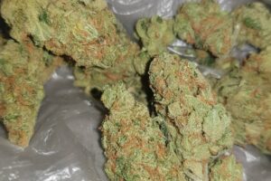 Amnesia Haze (Hybrid)