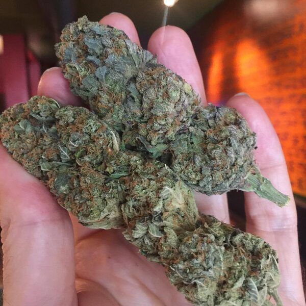 Buy Mango Kush