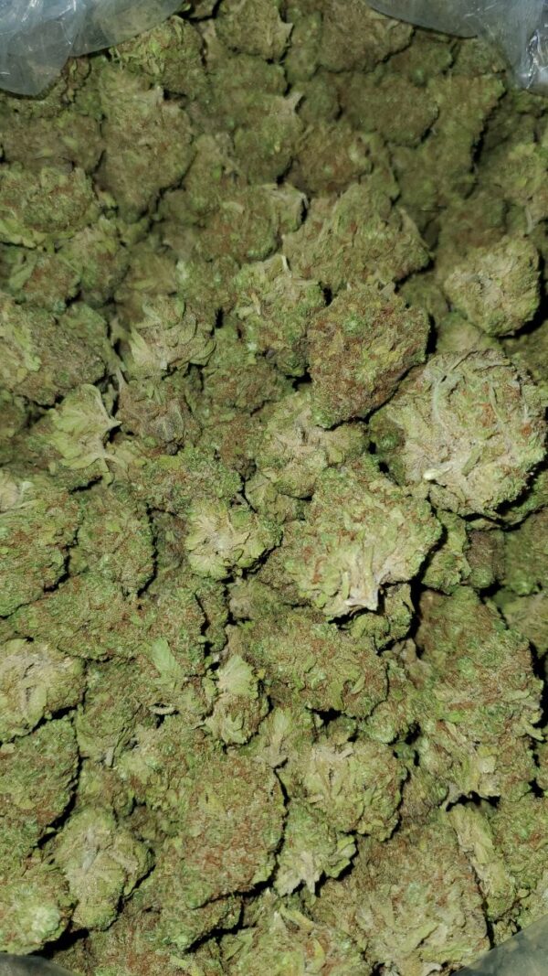 Buy Blueberry Kush