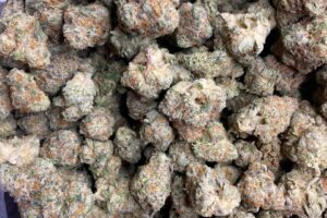 Cherry Cake (Hybrid)