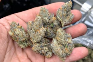 Buy Peanut Butter Breath (Hybrid)