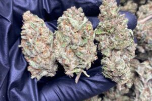 Buy White Tahoe Cookies