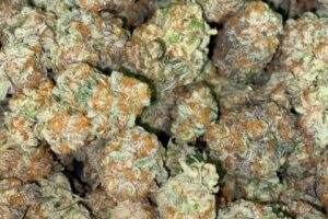 Buy Bubble Gum Cookies