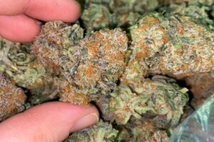 Buy Phantom Cookies (Hybrid)