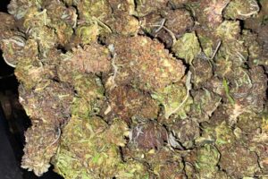 Buy Purple Bubba Kush