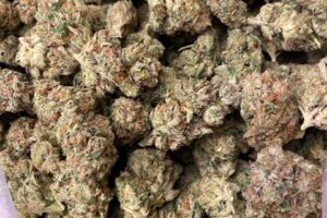 Girl Scout Cookies (IDH)