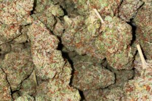 Buy Cookies Kush (IDH)