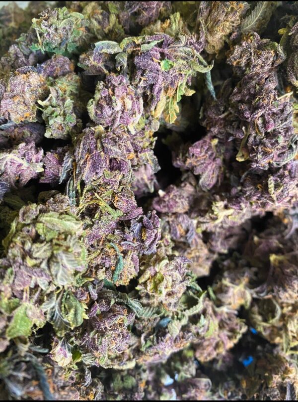 Blackberry Kush