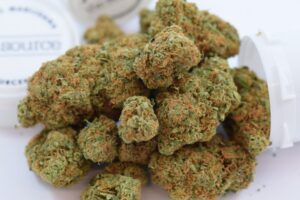 Buy Acapulco Gold Strain