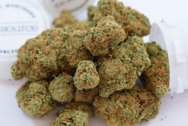 Buy Acapulco Gold Strain