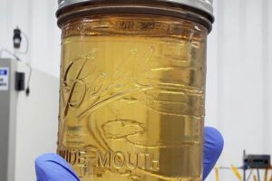 Buy Gorilla Glue #4 Distillate-98.01%