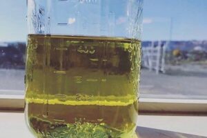 Buy Lime Distillate- 97.97%