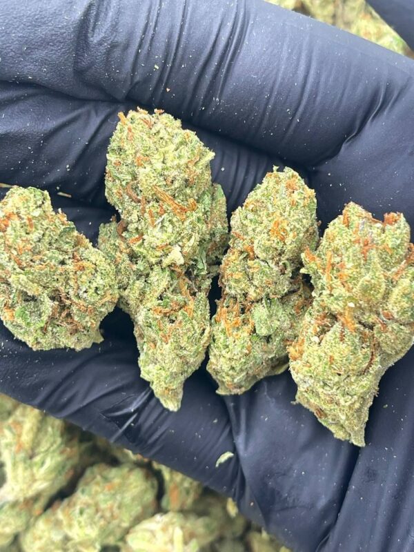 Buy Mandarin Cookies Strain