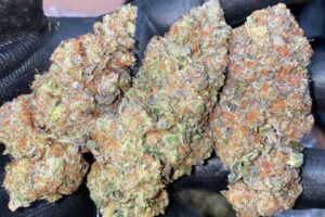 Buy Caramel Candy ( Apple) Kush Strain