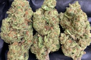 Buy Headband Strain Online