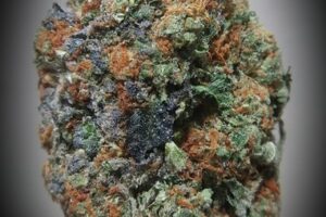 Skunk #1 Strain (Hybrid)