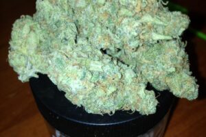 Super Silver Haze (Sativa)