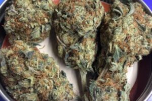 9 Pound Hammer Strain