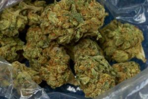 White Widow (Hybrid)