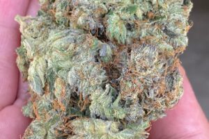 Buy Pinkman Goo Online