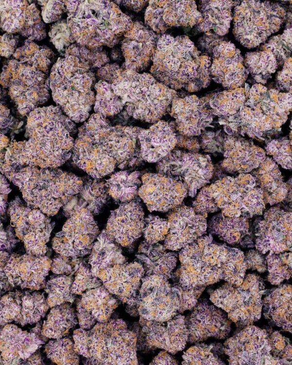 Buy Purple Punch