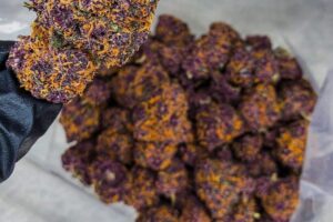Buy HuckleBerry Soda Strain