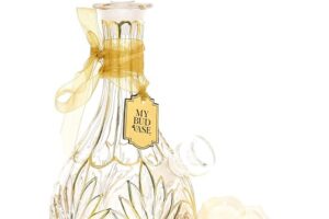 "Stardust" Water Pipe