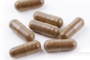 Golden Teacher Cordyceps Capsules