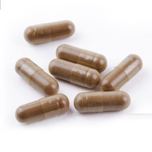 Golden Teacher Cordyceps Capsules